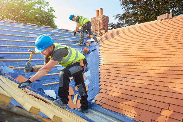 Professional Roofing services in Independence, MN